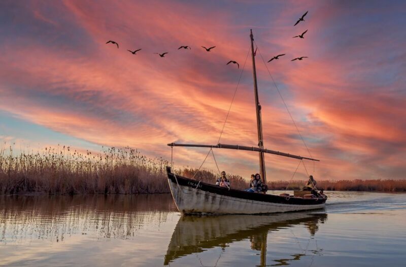 From Valencia: Albufera Natural Park Eco Boat Tour & Sunset - An In-Depth Look at the Albufera Eco Tour