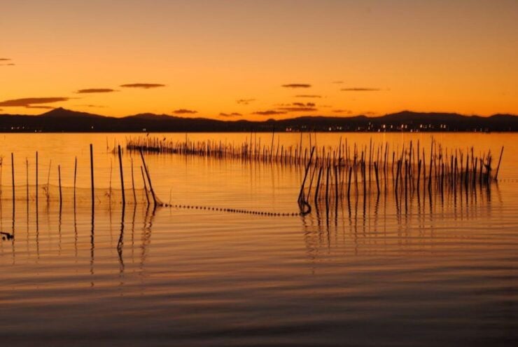 From Valencia: Albufera Natural Park With Sunset Experience - Activity Details