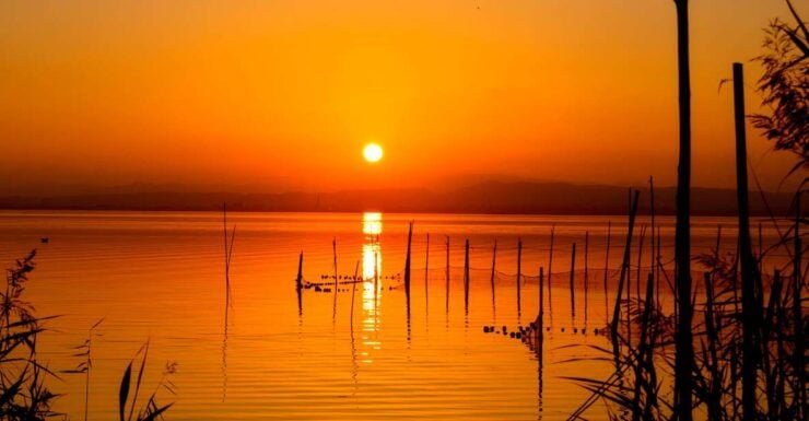 From Valencia: Albufera Natural Park With Sunset Experience - Availability and Itinerary
