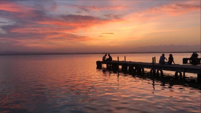 From Valencia: Albufera Natural Park With Sunset Experience - Highlights of the Experience