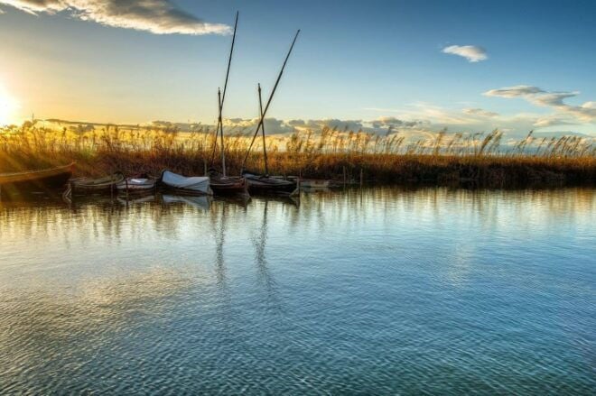 From Valencia: Albufera Natural Park With Sunset Experience - Environmental Impact