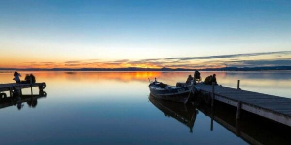From Valencia: Albufera Natural Park With Sunset Experience - Common Questions