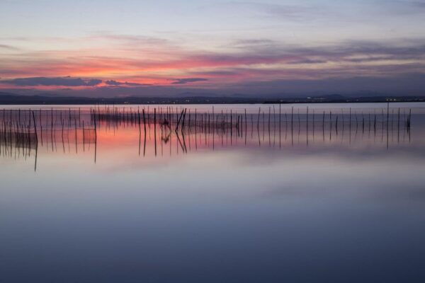 From Valencia: Albufera Natural Park With Sunset Experience - The Sum Up