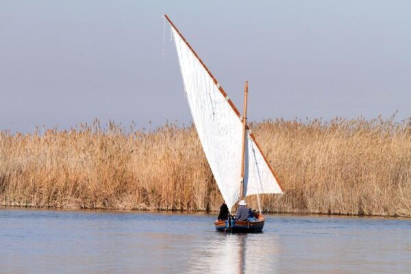 From Valencia: Albufera Tour With Paella, Boat Ride & Walk - Frequently Asked Questions