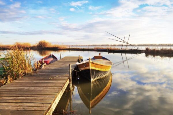 From Valencia: Albufera Tour With Paella, Boat Ride & Walk - The Sum Up