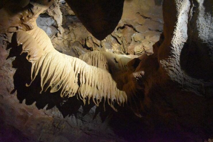 From Valencia: Caves of San José Guided Excursion and Ticket - Booking Details