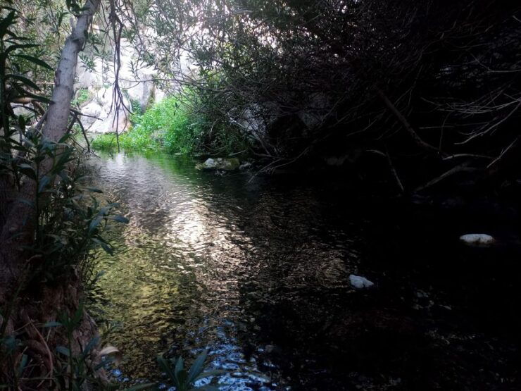 From Valencia: Full Day Tour at Algar Spring - Tour Itinerary