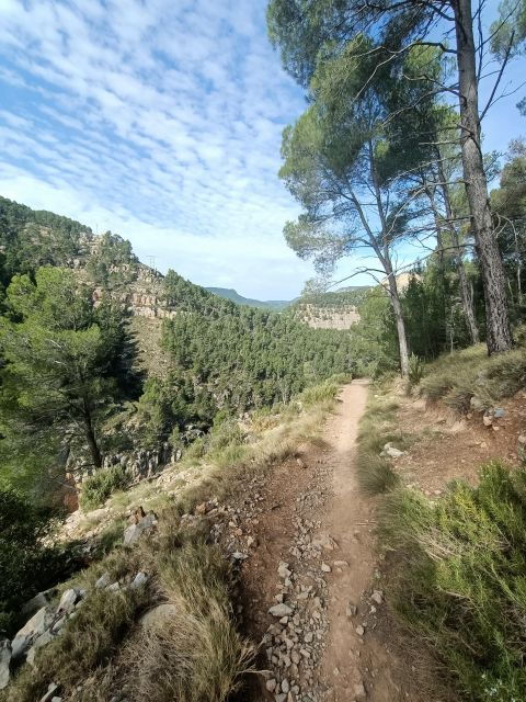 From Valencia: Montanejos With Hiking Trail - Tour Features