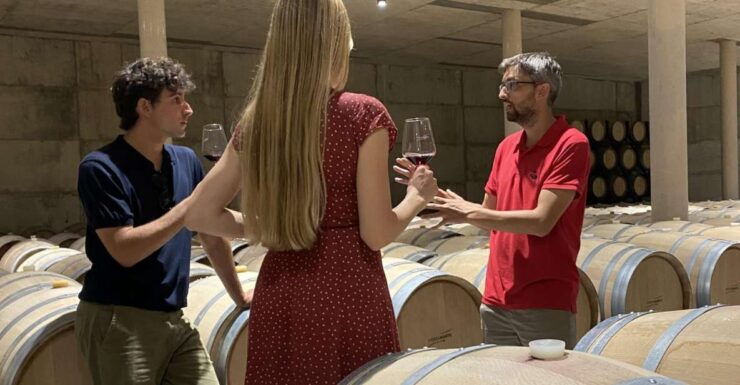 From Valencia: Requena Wine Tour With Tastings - Activity Details