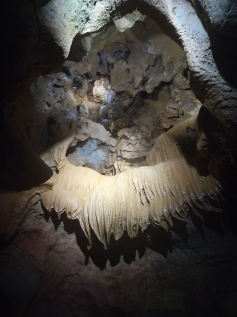 From Valencia: San Jose Caves, Navigate the Subway River - Activity Details