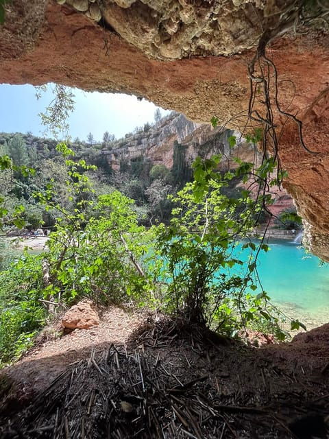 From Valencia: Wine Tasting + Nature Exploration - Transportation and Logistics