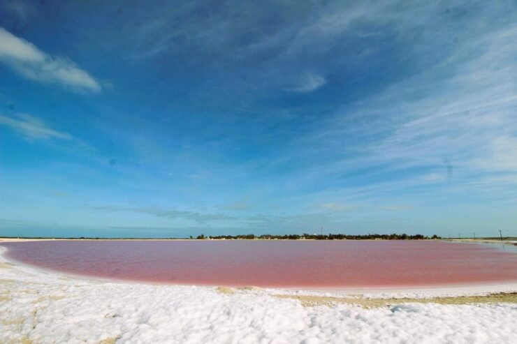 From Valladolid: Private Tour Rio Lagartos, Coloradas, Ek Balam & Cenote - Itinerary and Highlights