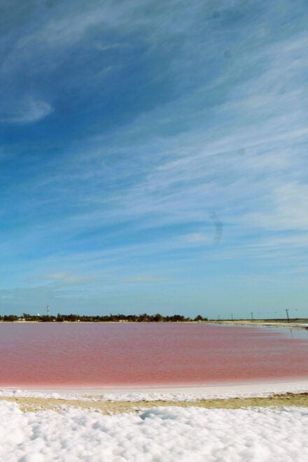 From Valladolid: Private Tour Rio Lagartos, Coloradas, Ek Balam & Cenote - Las Coloradas Photo Stop