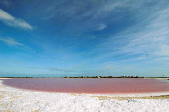 From Valladolid: Private Tour Rio Lagartos, Coloradas, Ek Balam & Cenote - Pickup and Return