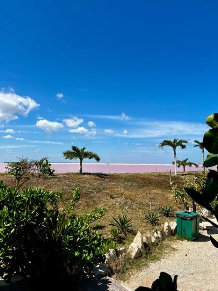 From Valladolid: Private Tour Rio Lagartos, Coloradas, Ek Balam & Cenote - Cenote Hubiku Experience