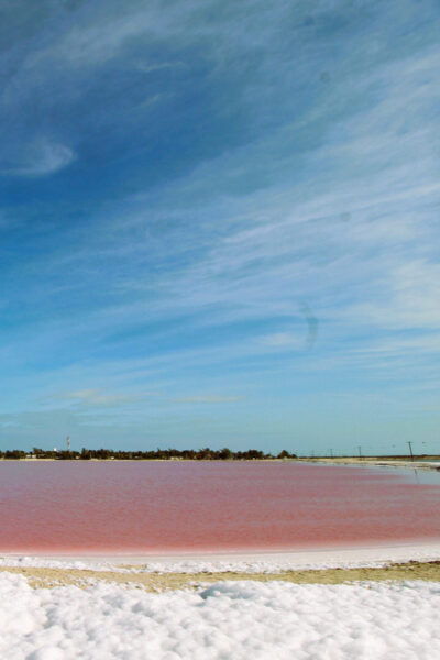 From Valladolid: Private Tour Rio Lagartos, Coloradas, Ek Balam & Cenote - Frequently Asked Questions