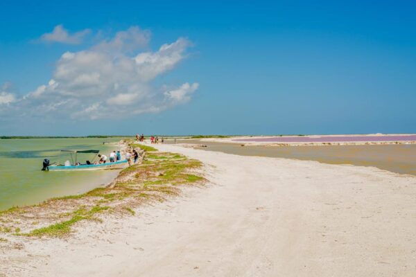 From Valladolid: Rio Lagartos and Ek Balam Day Trip - Customer Reviews