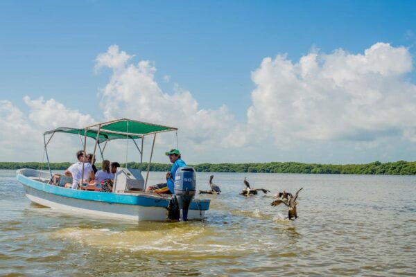 From Valladolid: Rio Lagartos and Ek Balam Day Trip - Frequently Asked Questions