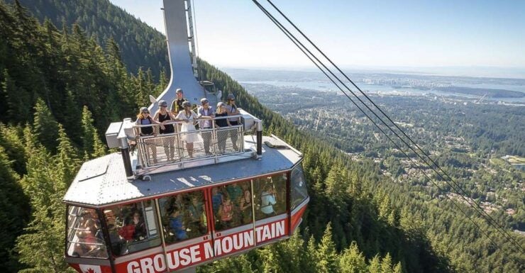 From Vancouver: Capilano Suspension Bridge & Grouse Mountain - Experience Highlights