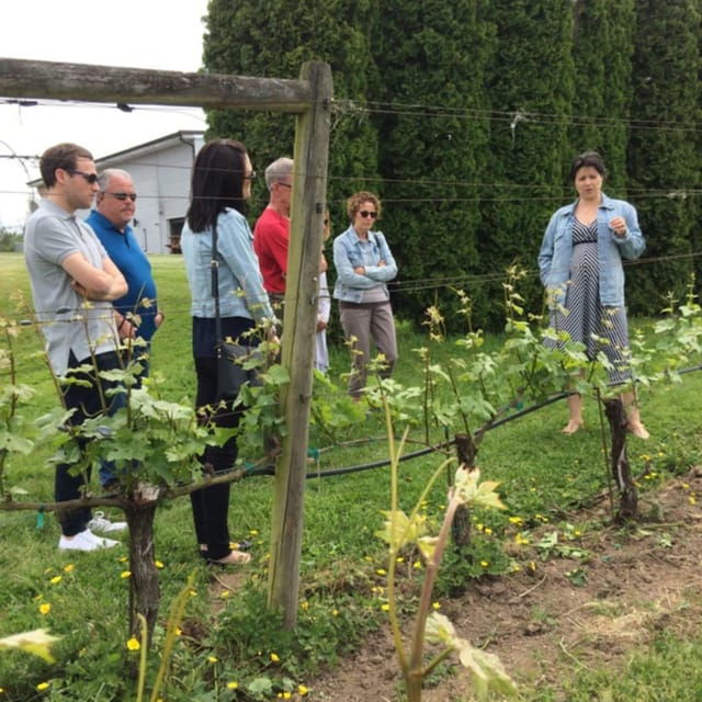 From Vancouver: Fraser Valley Wine Tour With Local Tastings - Itinerary and Experience