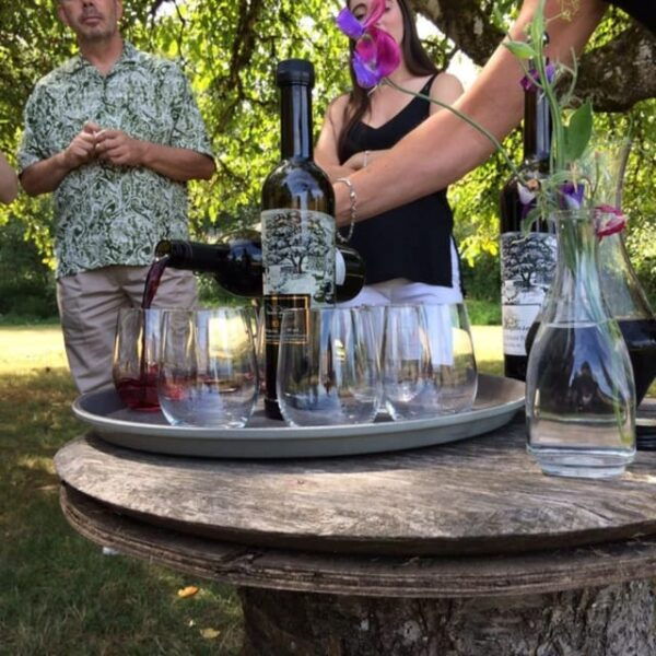 From Vancouver: Fraser Valley Wine Tour With Local Tastings - Exploring Fraser Valley Wineries