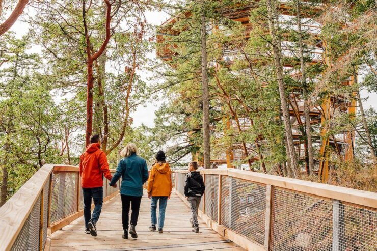 From Vancouver: Malahat SkyWalk & Vancouver Island Day Trip - Activity Overview and Details