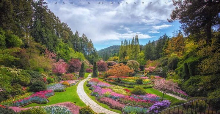 From Vancouver: Victoria City and Butchart Gardens Tour - Good To Know