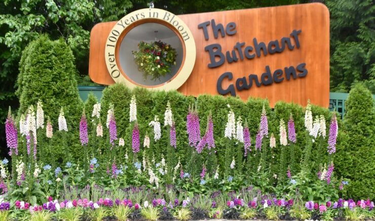 From Vancouver: Victoria City and Butchart Gardens Tour - Itinerary Highlights