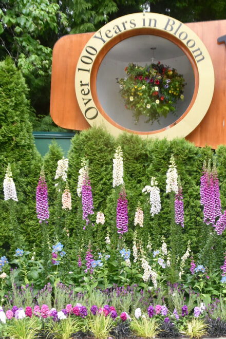 From Vancouver: Victoria City and Butchart Gardens Tour - Scenic 90-minute Cruise