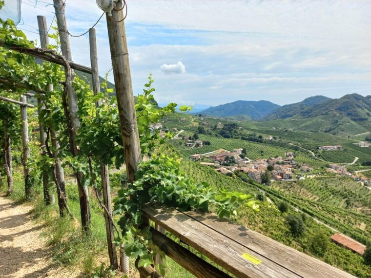 From Venice and Treviso: Prosecco Hills Wine and Food Tour - Why This Tour Stands Out