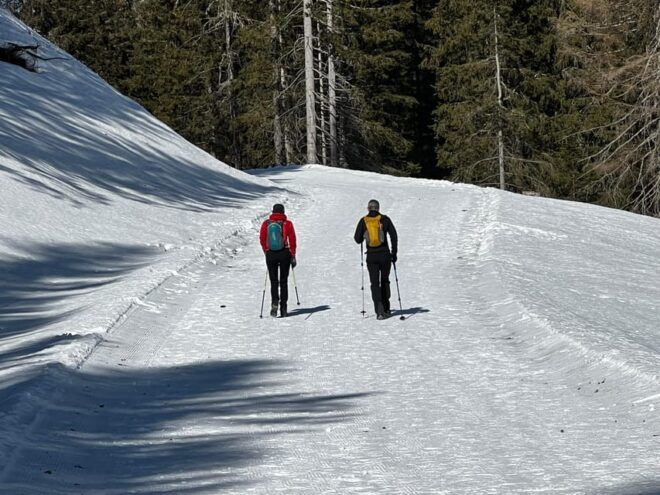 From Venice: Private Dolomites Full-Day Tour in the Winter - Inclusions and Exclusions
