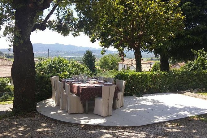 From Venice: Prosecco Country Wine and Food Private Tour - Reviews