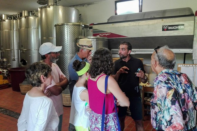 From Venice: Prosecco Country Wine and Food Private Tour - Positive Reviews