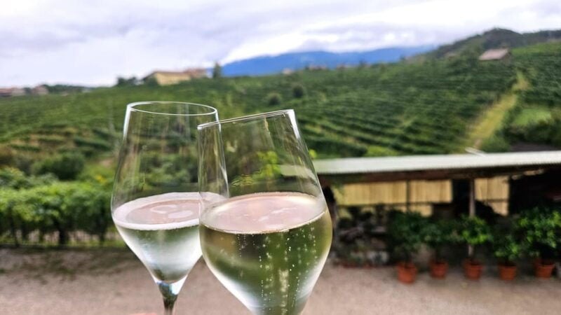 From Venice: Prosecco Full-Day Tour w/ Wine Tasting & Lunch - Good To Know