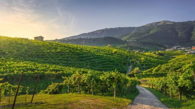 From Venice: Prosecco Full-Day Tour w/ Wine Tasting & Lunch - Analyzing the Value: Is It Worth the Price?