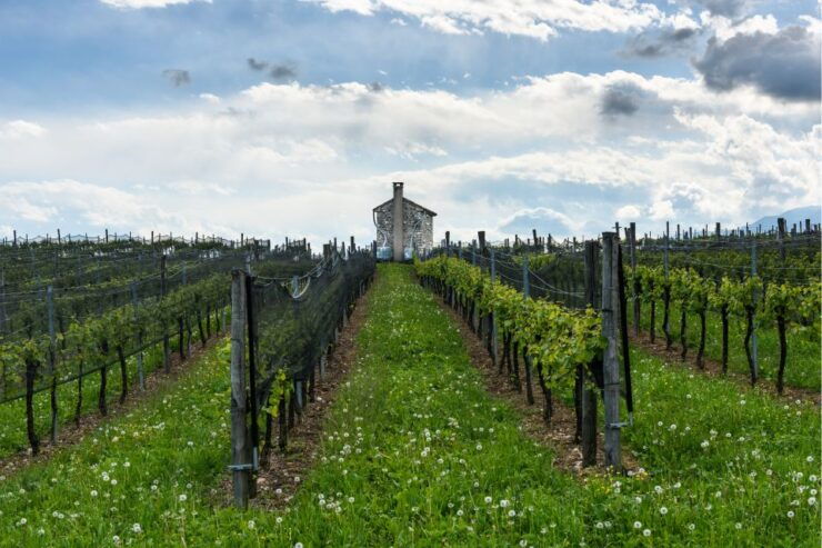 From Venice: Prosecco in a Day Trip - Itinerary