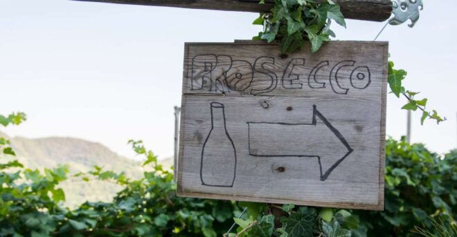 From Venice: Prosecco in a Day Trip - Experience