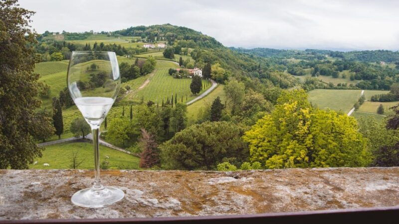 From Venice: Wine and Food tour in the Prosecco Hills - An In-Depth Look at the Tour Experience