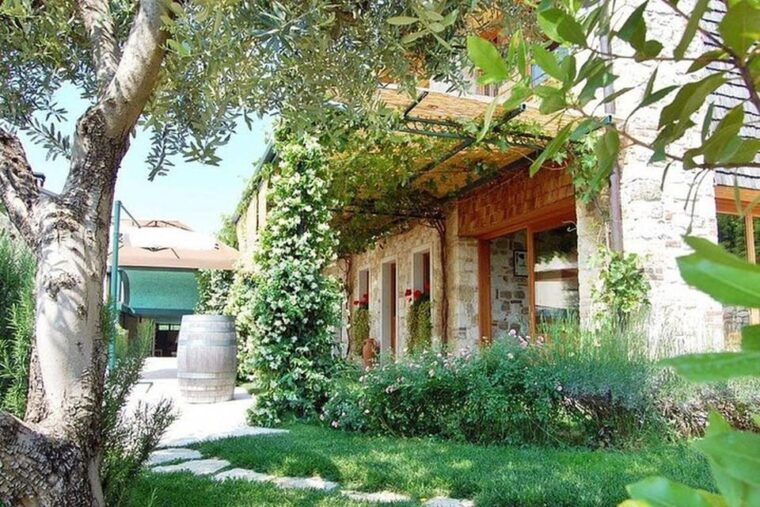 From Venice: Wine and Food tour in the Prosecco Hills - What Makes This Tour Worth It?