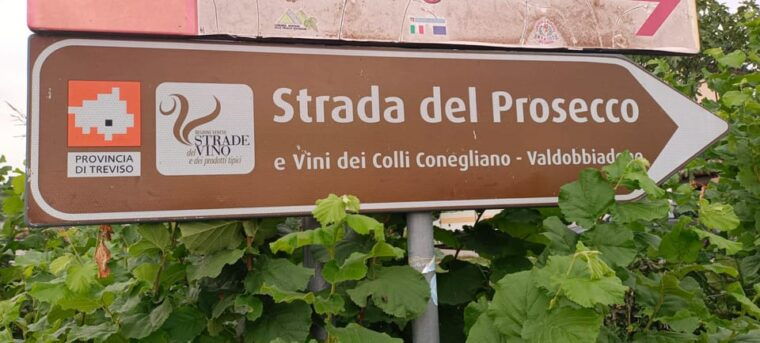 From Venice: Wine and Food tour in the Prosecco Hills - Practical Tips & Considerations
