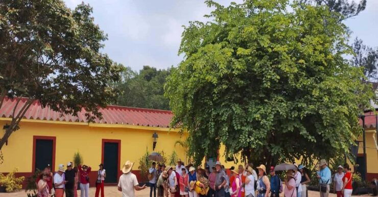 From Veracruz: Coffee Route Day Trip - Itinerary Highlights