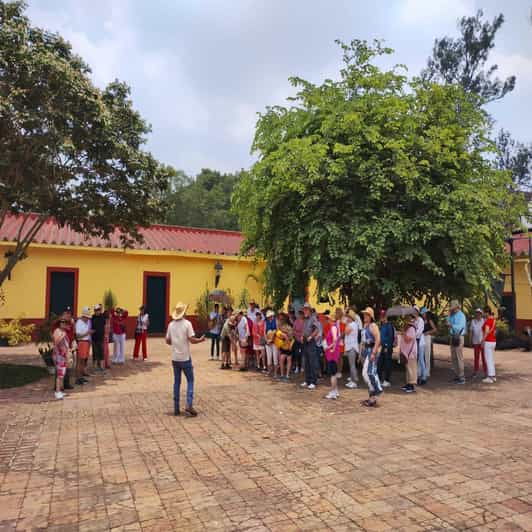 From Veracruz: Coffee Route Day Trip - Included Services