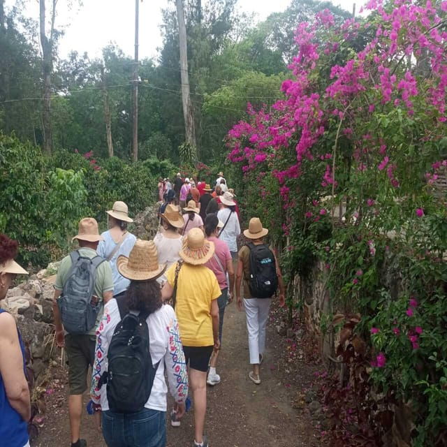From Veracruz: Coffee Route Day Trip - Tour of the Coffee Plantation