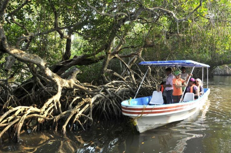 From Veracruz: Nature & Seafood Boat Tour to Madinga - Experience Highlights