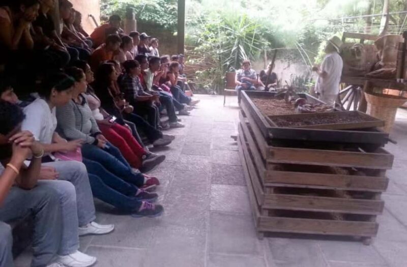 From Veracruz: Xalapa & Coatepec Day Trip - Possible Drawbacks and Considerations