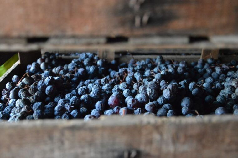 From Verona: Amarone Half-Day Wine Tasting Tour - Tasting Local Delicacies