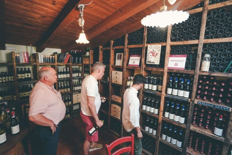 From Verona: Amarone Wine Trail Tour - Experience Highlights