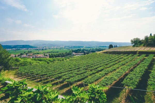 From Verona: Amarone Wine Trail Tour - Directions