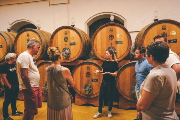 From Verona: Amarone Wine Trail Tour - Common Questions