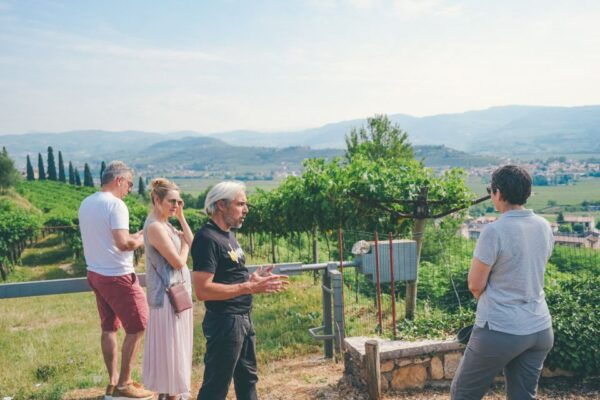 From Verona: Amarone Wine Trail Tour - The Sum Up
